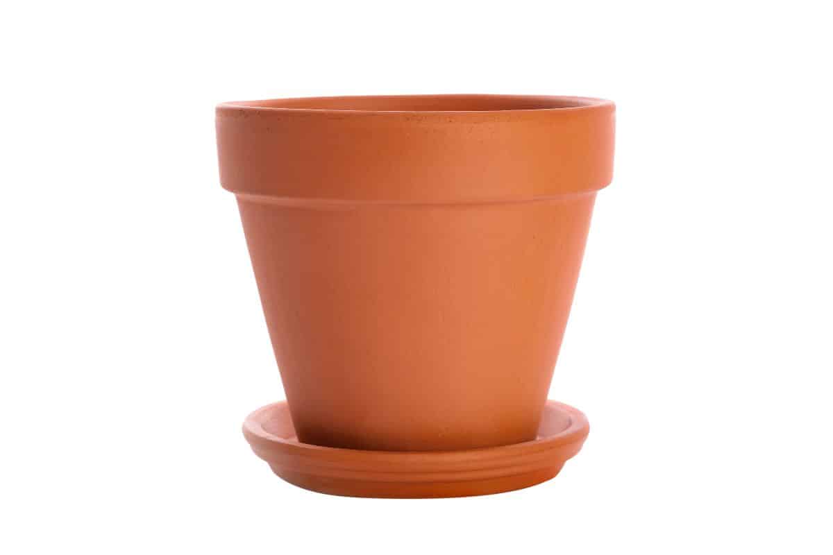 Flower Pots